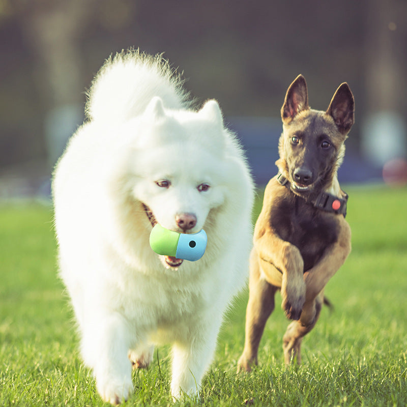 2 In 1 Pet Toy, Dog Toy Silicone Ball