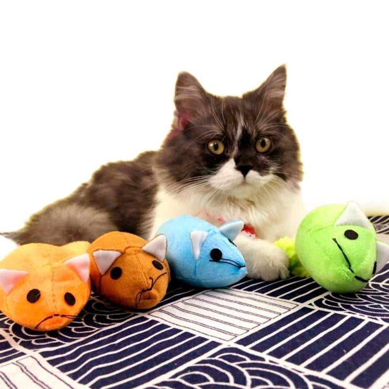 Long Tail Mouse Cat Teaser, Interactive Pets Products