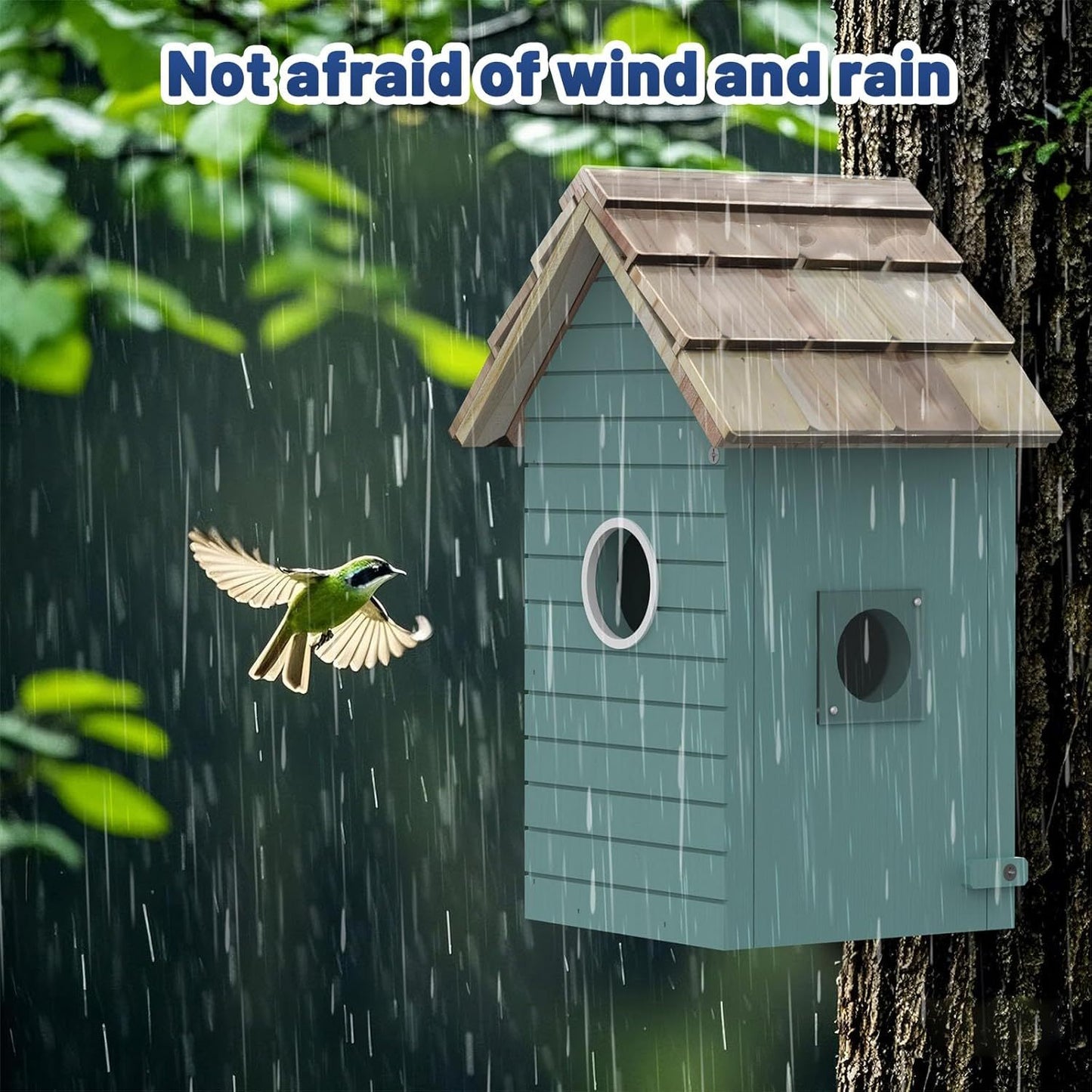 Smart Bird House, Bird Feeder With Camera - Ai Bird Species Identification, 3MP HD Photos, Inside 2.4G-Wi-Fi,1.5In Focus, Blue