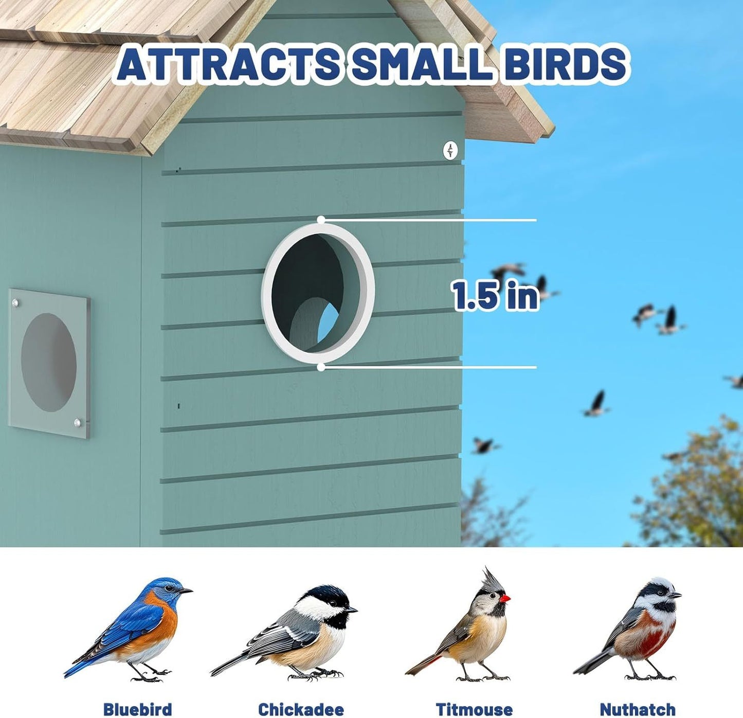 Smart Bird House, Bird Feeder With Camera - Ai Bird Species Identification, 3MP HD Photos, Inside 2.4G-Wi-Fi,1.5In Focus, Blue